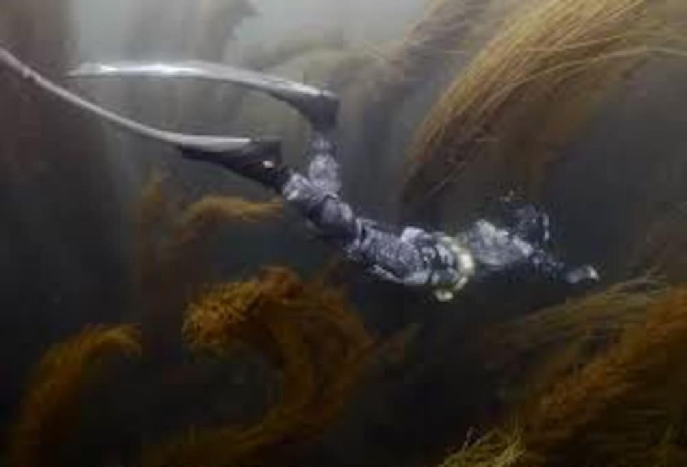 Gite Entre Mer Et Abers Landéda Kültér fotó