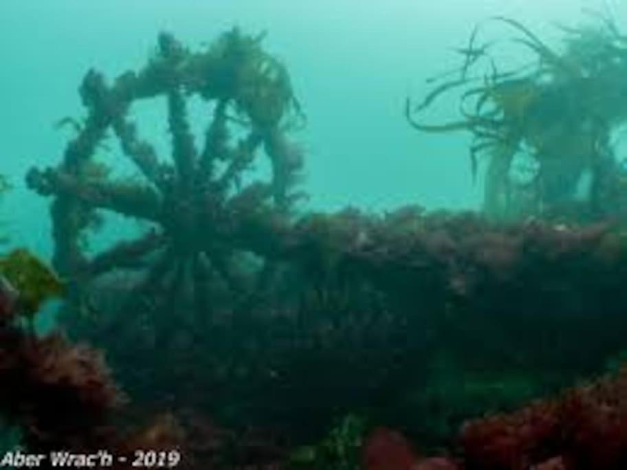 Gite Entre Mer Et Abers Landéda Kültér fotó