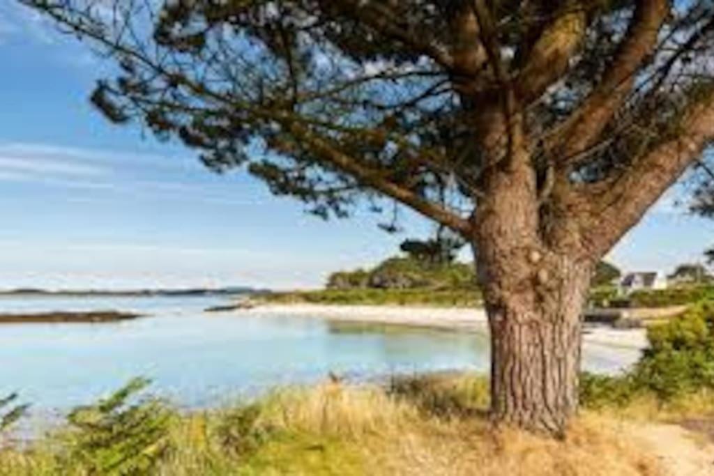 Gite Entre Mer Et Abers Landéda Kültér fotó